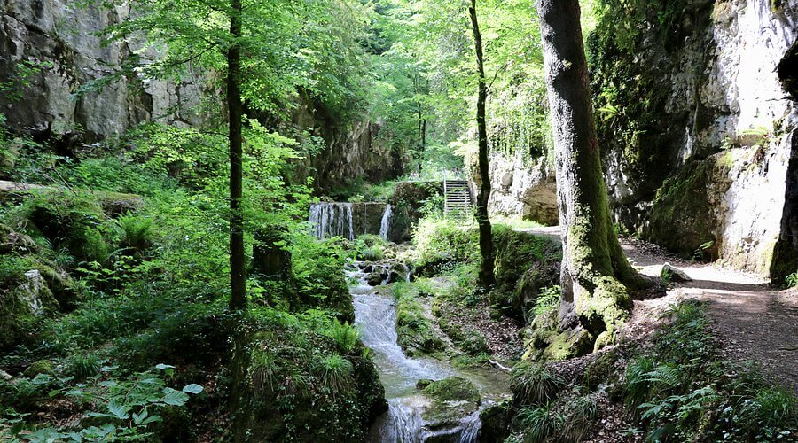 Wanderweg durch die grüne Teufelsschlucht mit Bachlauf und Felsen in der Region Solothurn